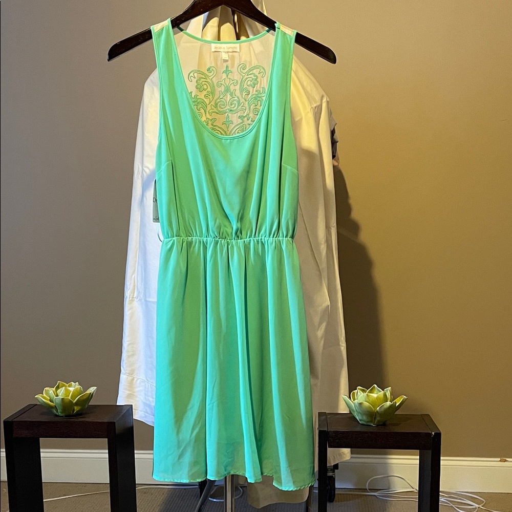 Jealous Tomato Mint Green Midi Dress
